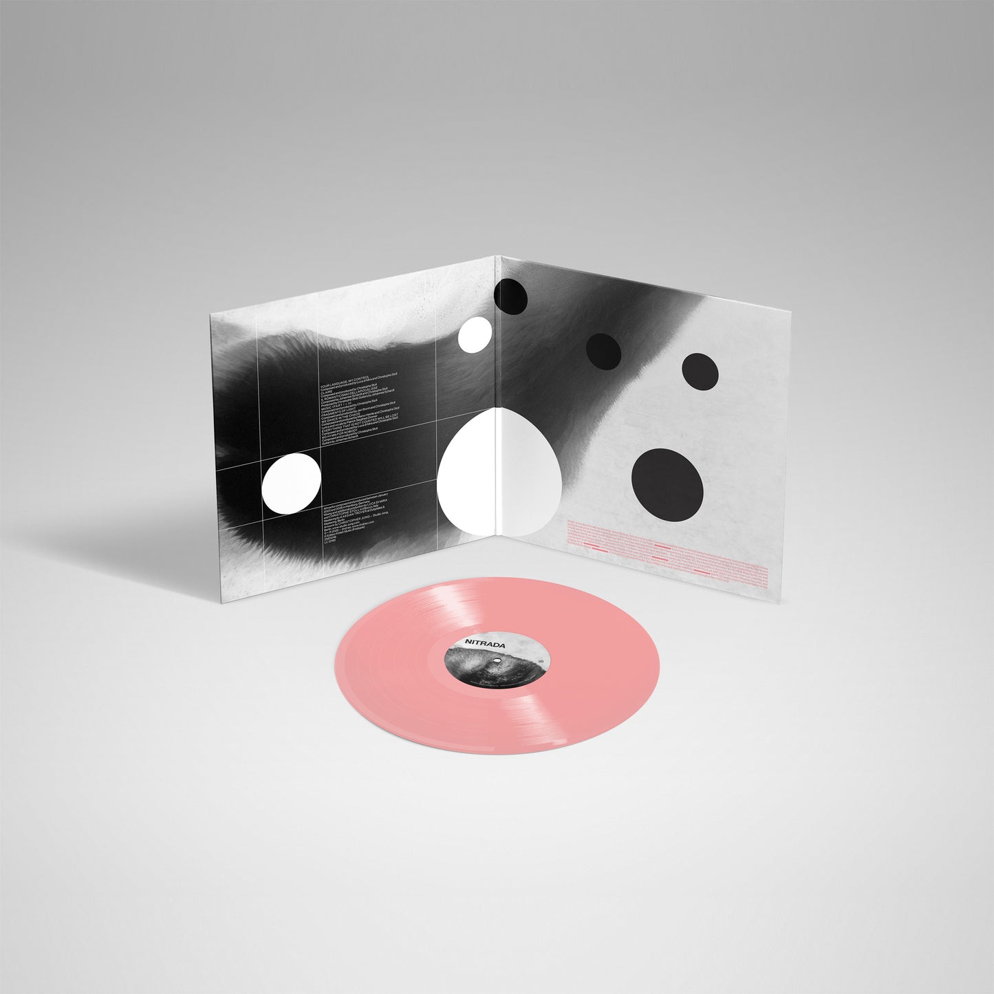 NITRADA - EVERYTHING THAT IS NOT COUNTED WILL BE LOST